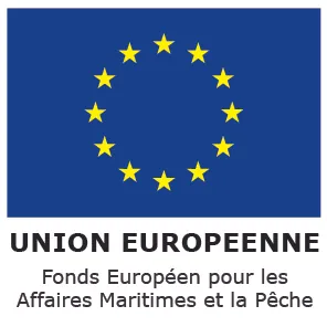 icône Union Européenne